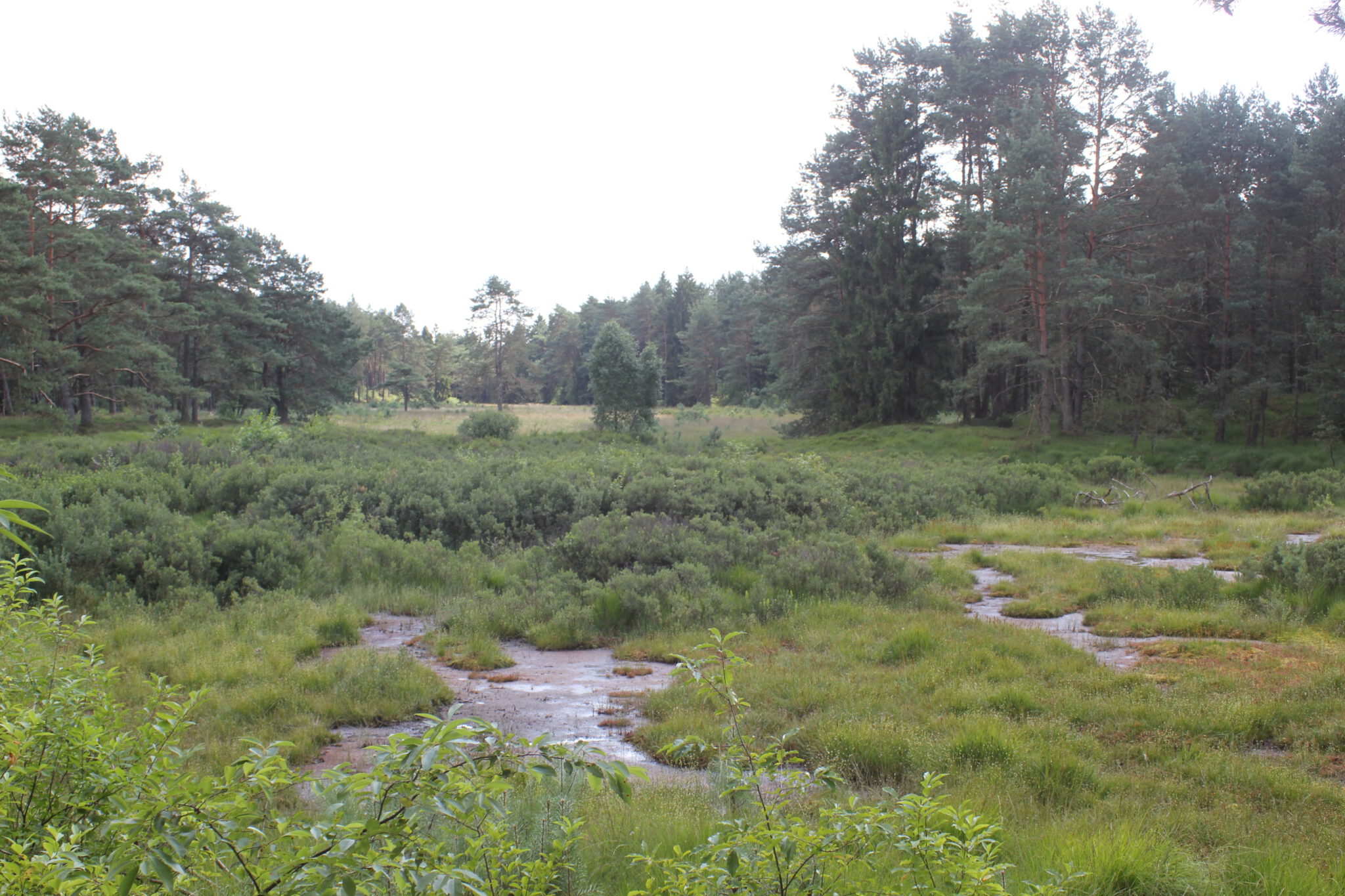 2013_Quellgebiet Seeve IGN Die Wasserschützer